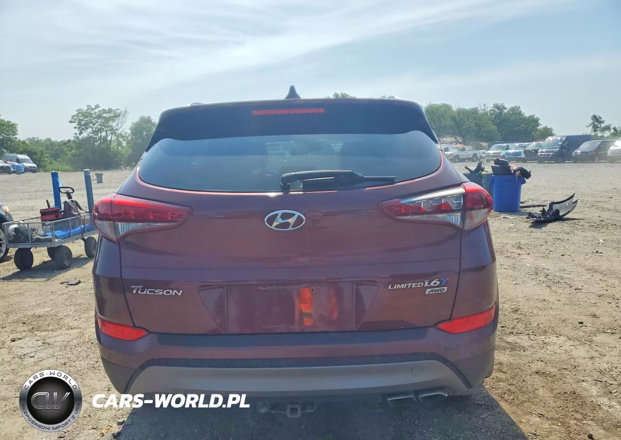 2016 Hyundai Tucson Limited VIN:KM8J3CA28GU231031 - 6
