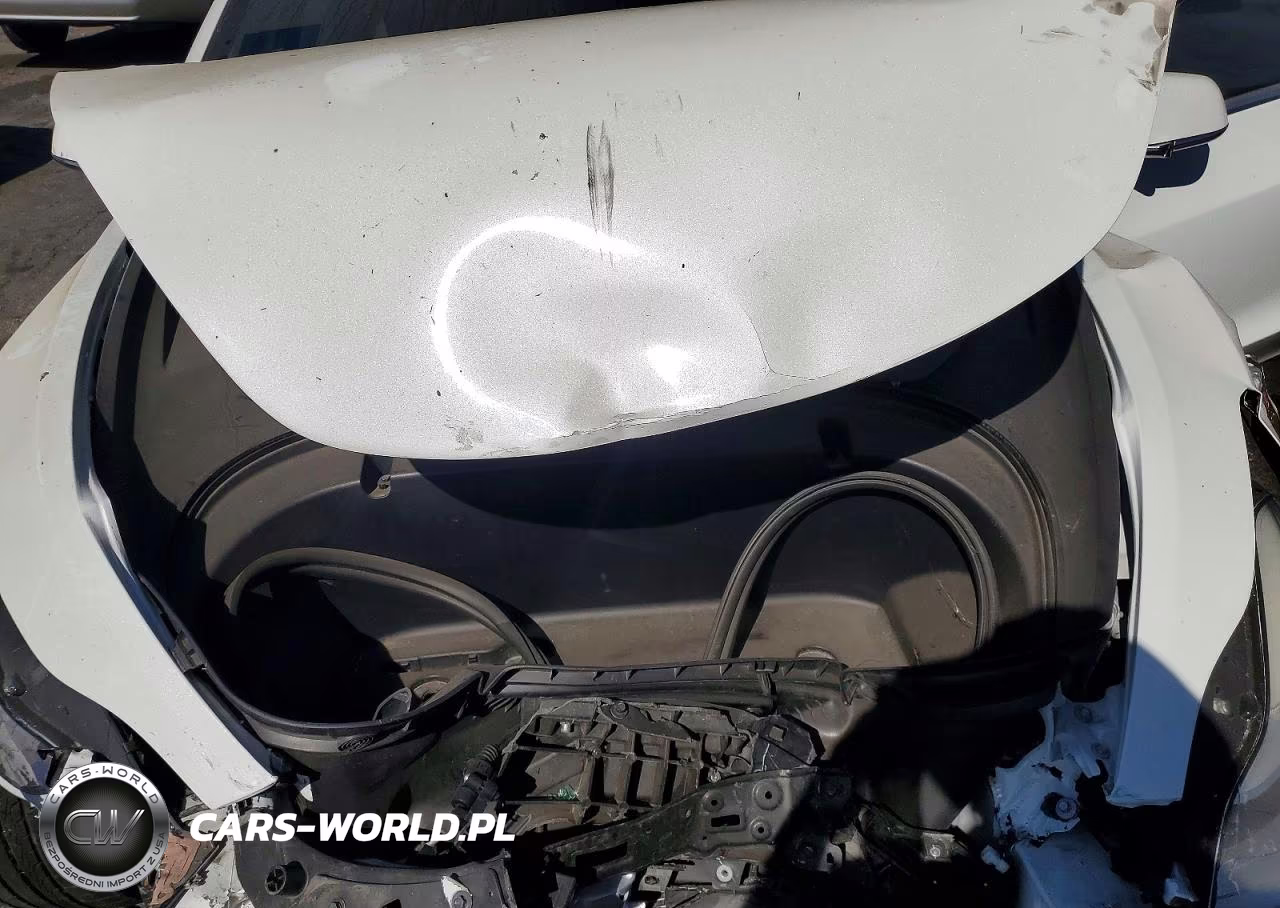2020 Tesla Model 3 VIN:5YJ3E1EA5LF743863 - 11