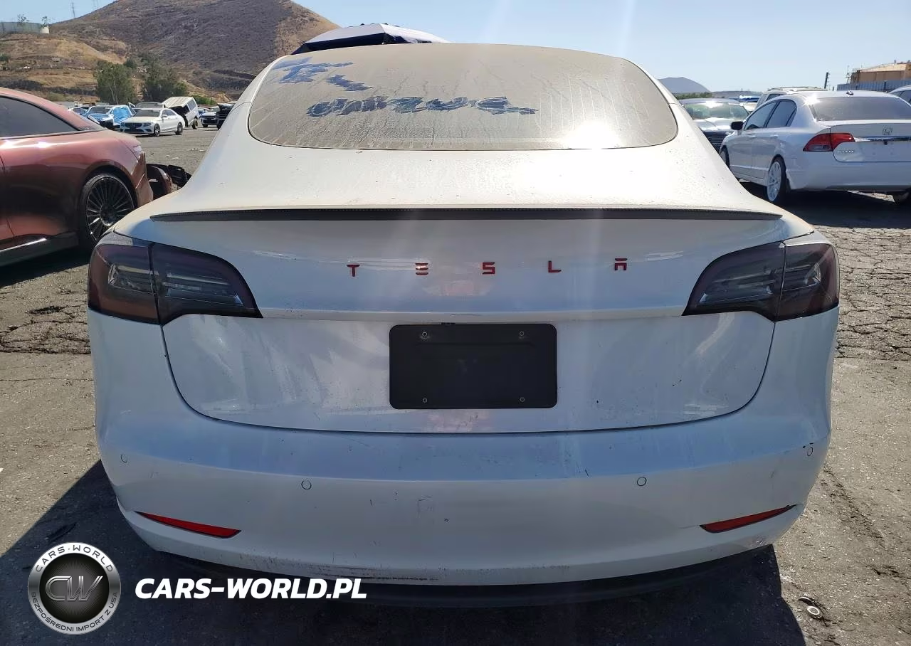 2020 Tesla Model 3 VIN:5YJ3E1EA5LF743863 - 6