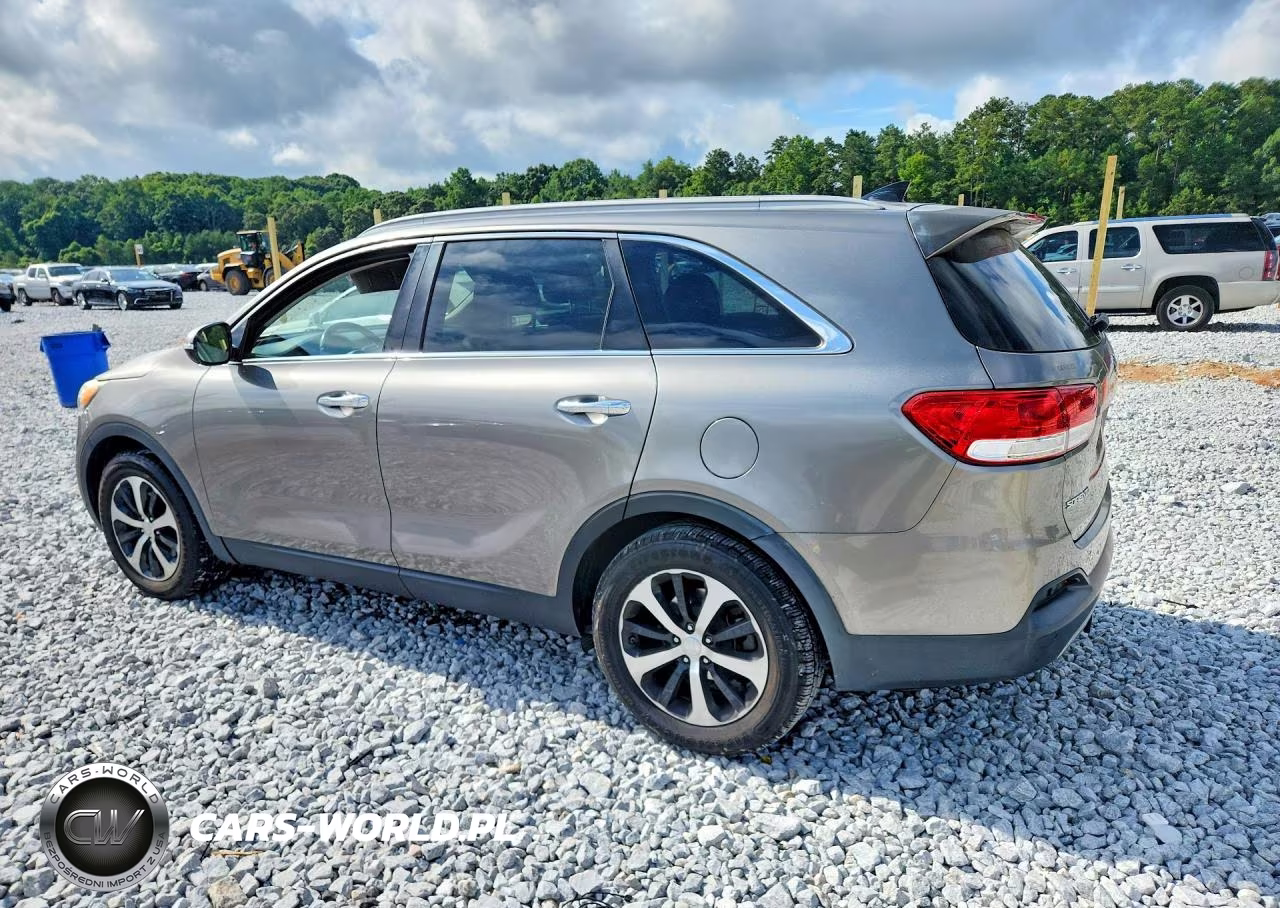 2016 Kia Sorento Ex VIN:5XYPHDA19GG010326 - 2