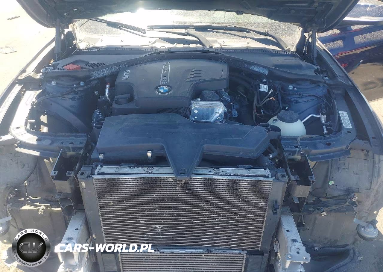 2013 BMW 320 I VIN:WBA3B1C59DK128264 - 11
