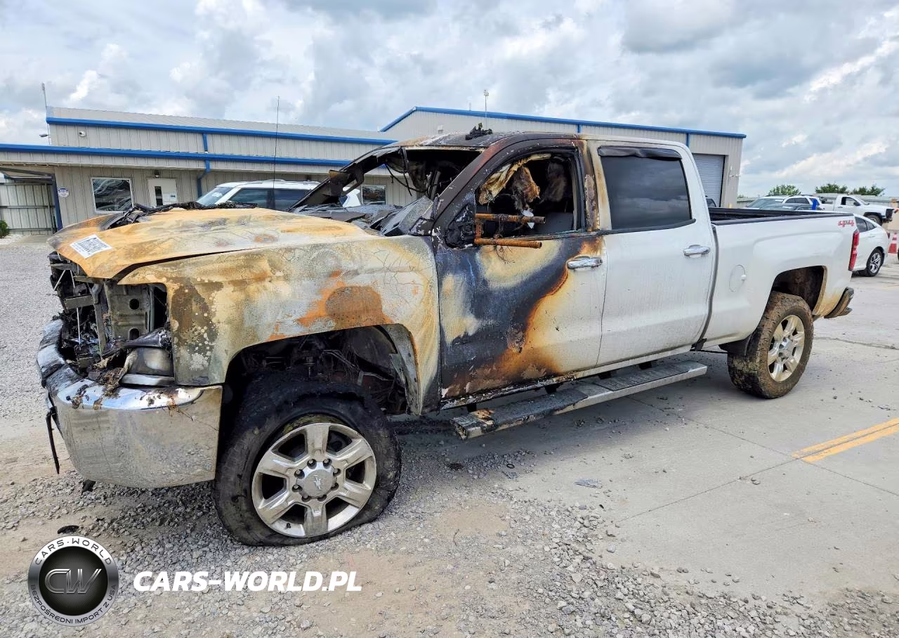 2019 Chevrolet Silverado K2500 Heavy Duty VIN:1GC1KREY2KF125163 - 1