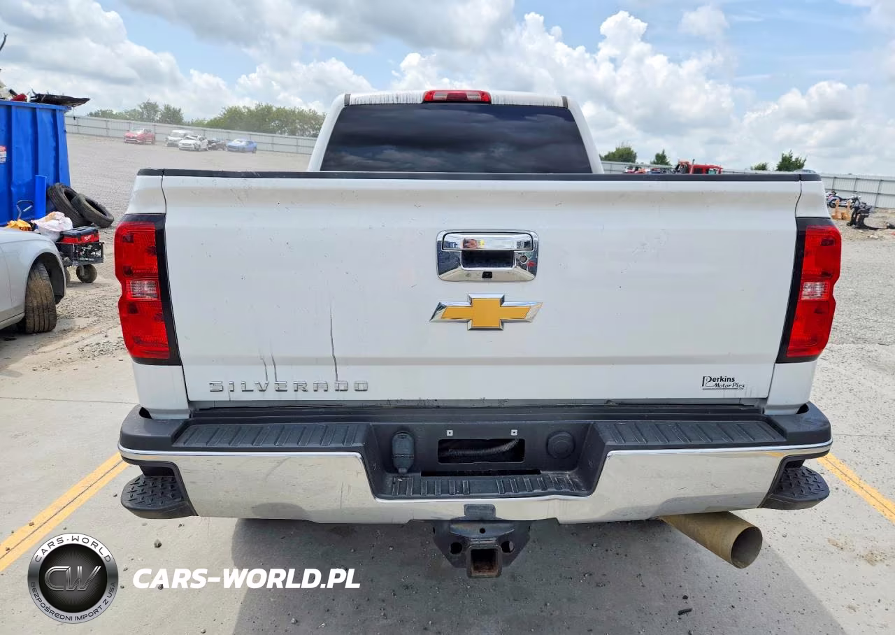 2019 Chevrolet Silverado K2500 Heavy Duty VIN:1GC1KREY2KF125163 - 6