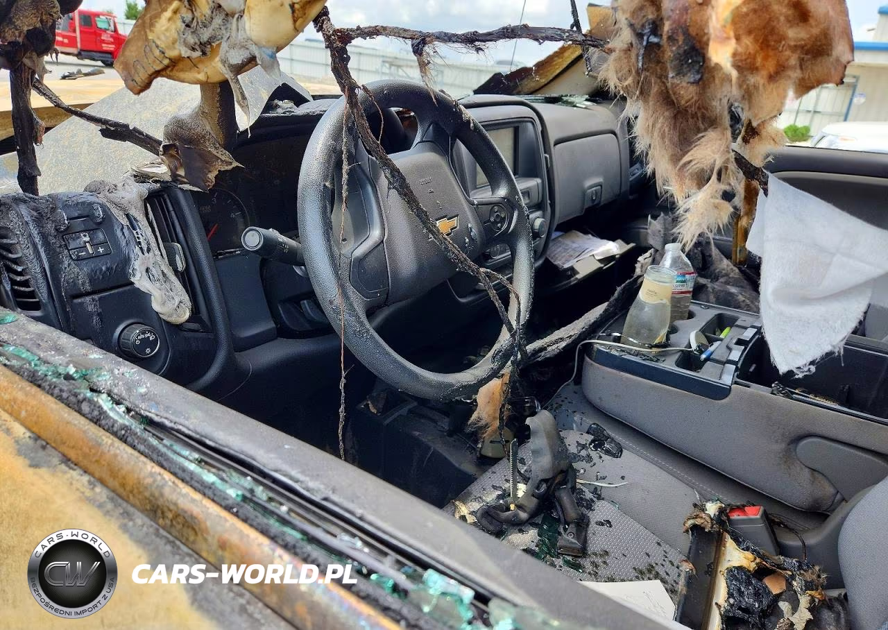 2019 Chevrolet Silverado K2500 Heavy Duty VIN:1GC1KREY2KF125163 - 8