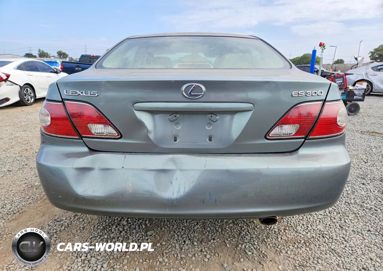2002 Lexus Es 300 VIN:JTHBF30GX20082004 - 6