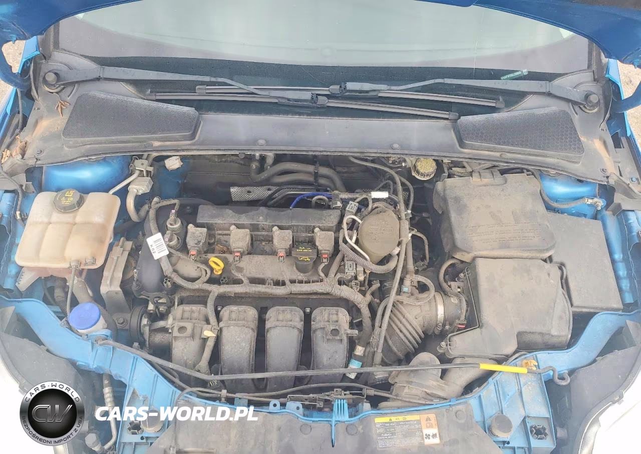 2014 Ford Focus Se VIN:1FADP3F25EL208605 - 11
