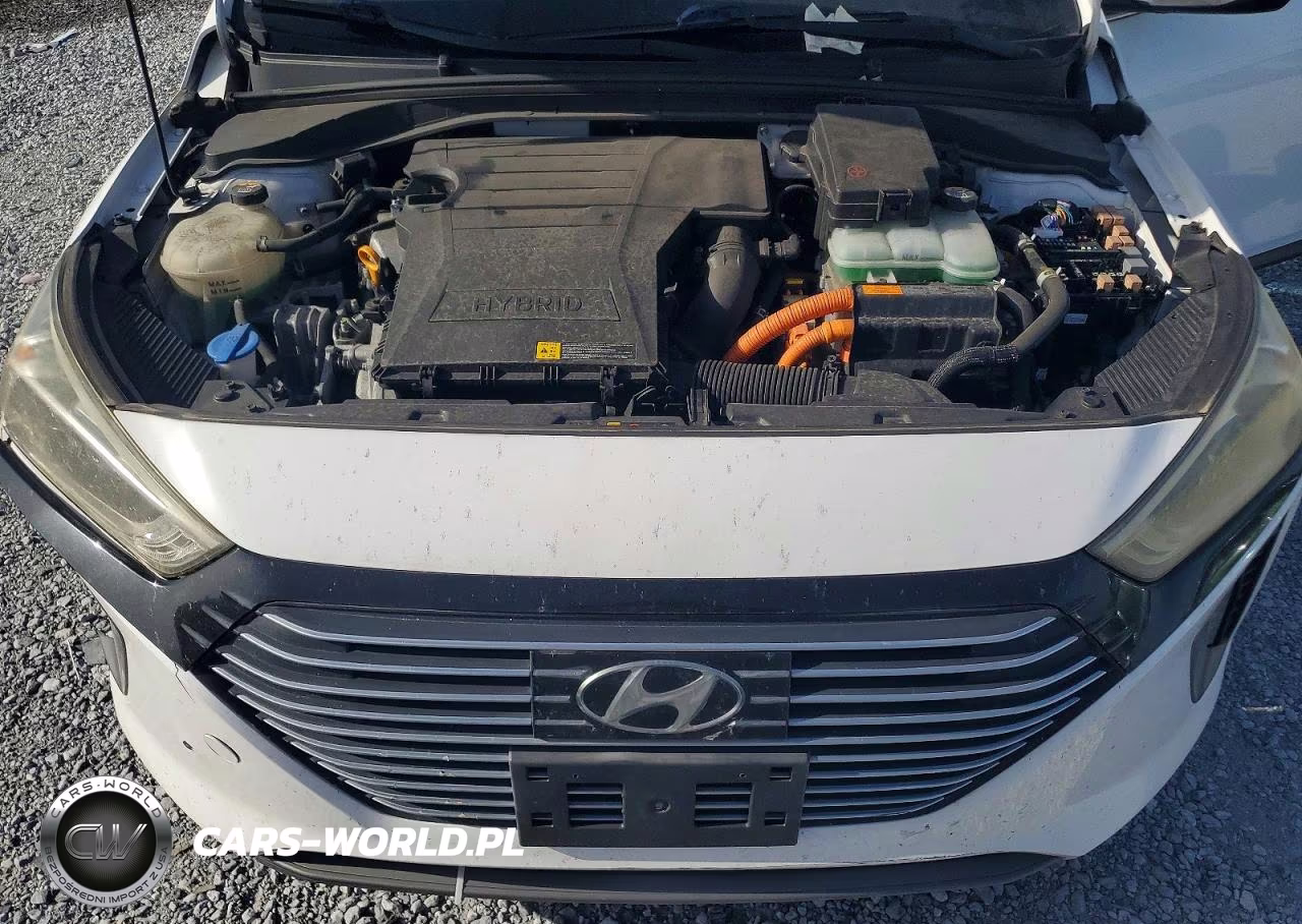 2017 Hyundai Ioniq Sel VIN:KMHC75LC8HU031458 - 11