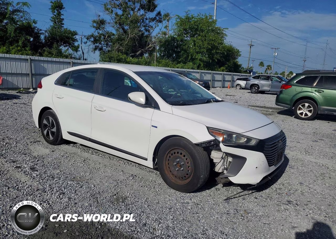 2017 Hyundai Ioniq Sel VIN:KMHC75LC8HU031458 - 4