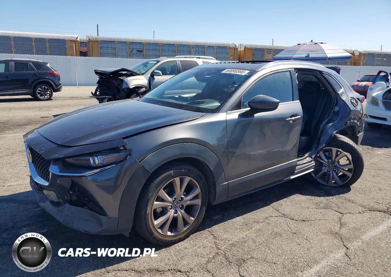 2021 Mazda Cx-30 Premium VIN:3MVDMBDL6MM315571 - 1