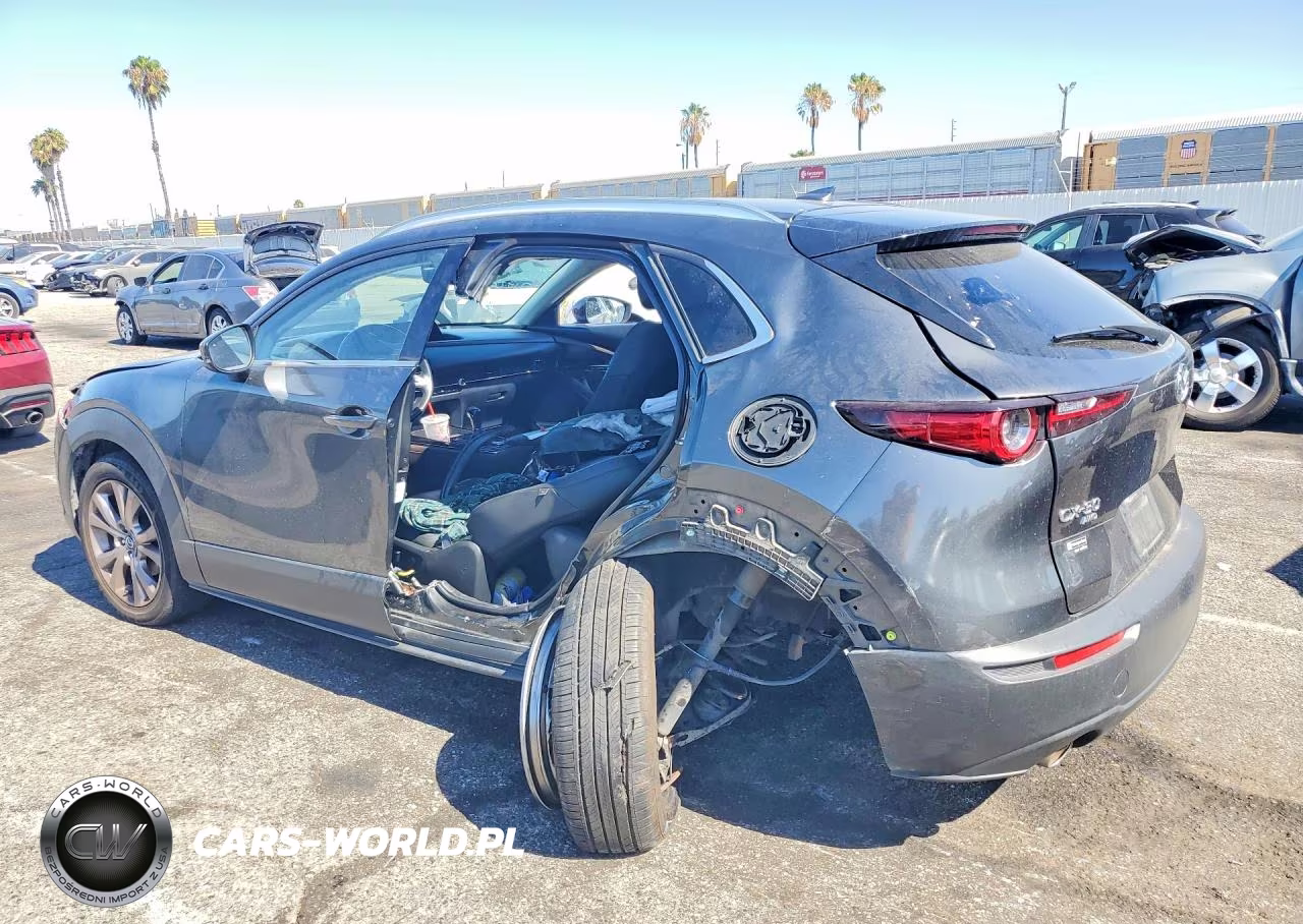 2021 Mazda Cx-30 Premium VIN:3MVDMBDL6MM315571 - 2