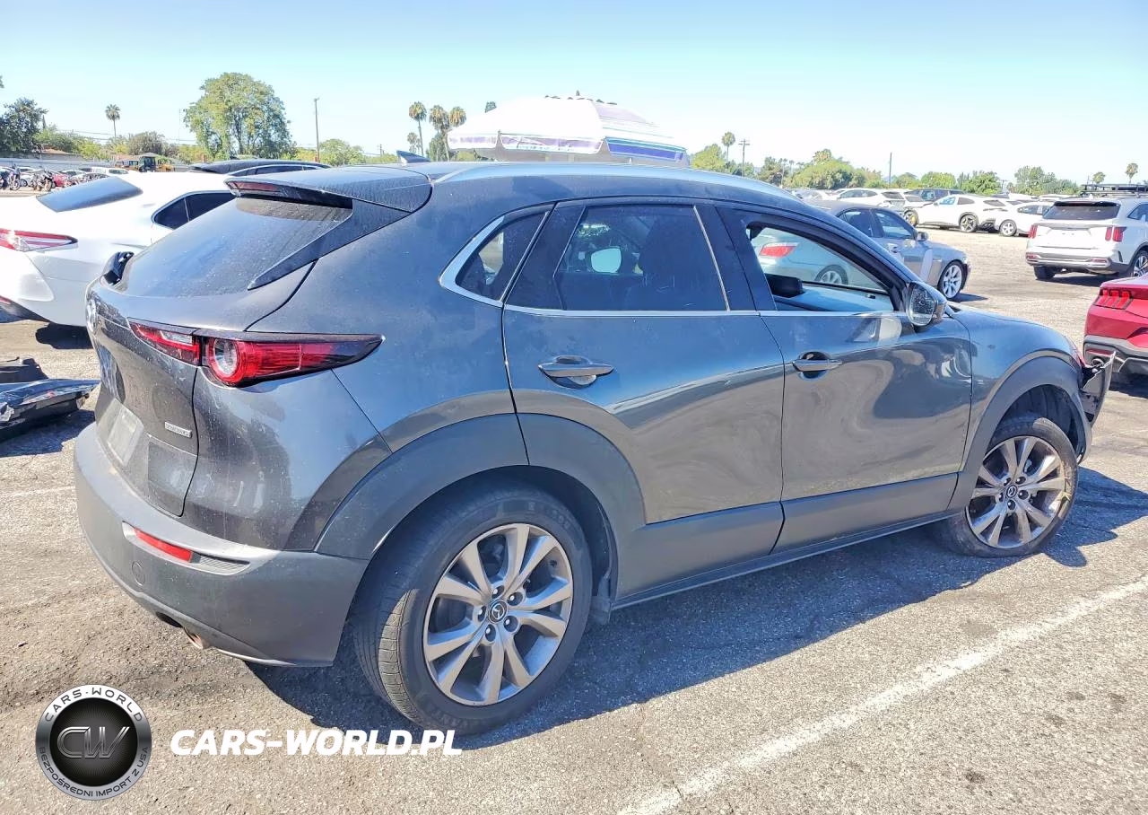 2021 Mazda Cx-30 Premium VIN:3MVDMBDL6MM315571 - 3