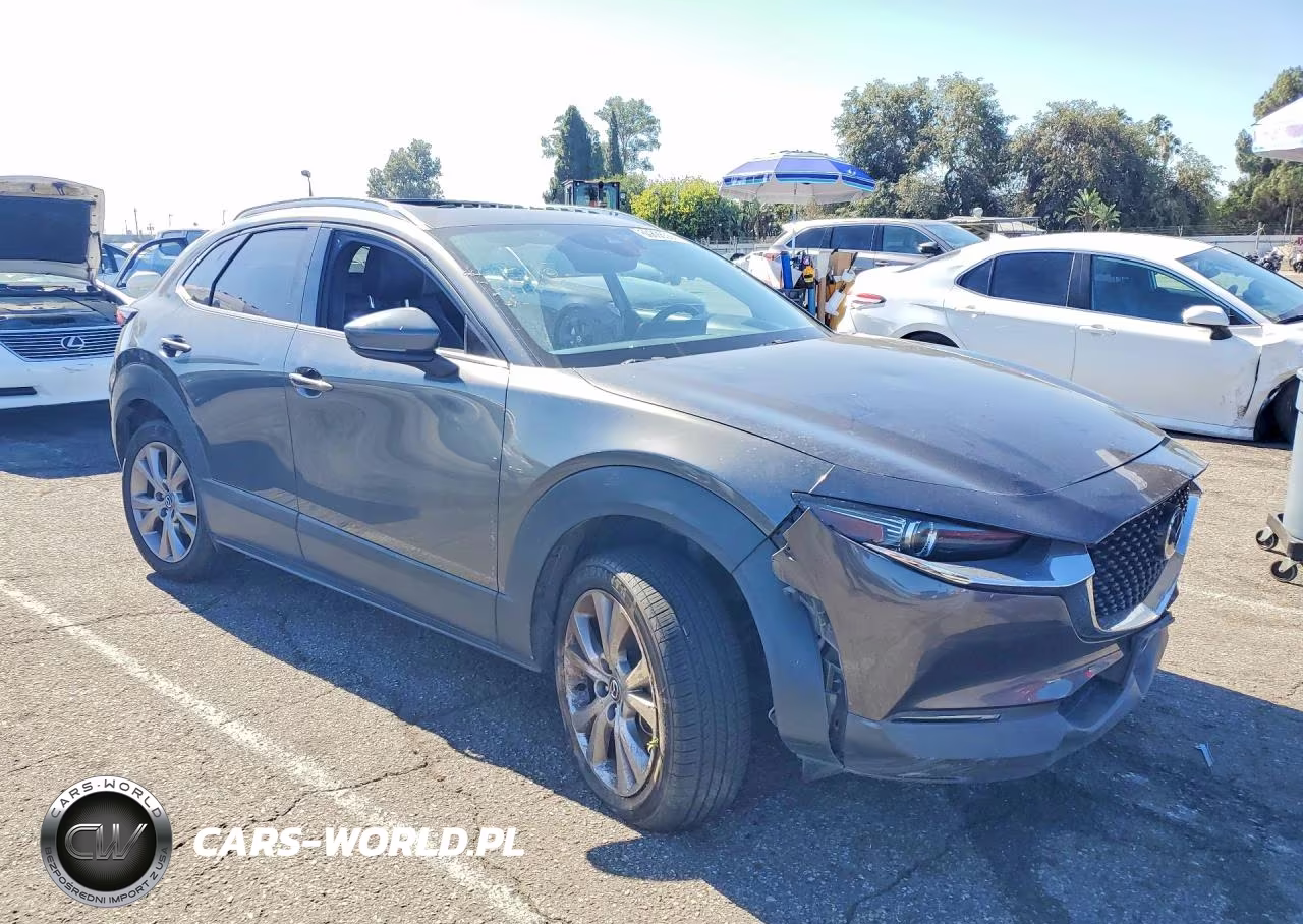 2021 Mazda Cx-30 Premium VIN:3MVDMBDL6MM315571 - 4