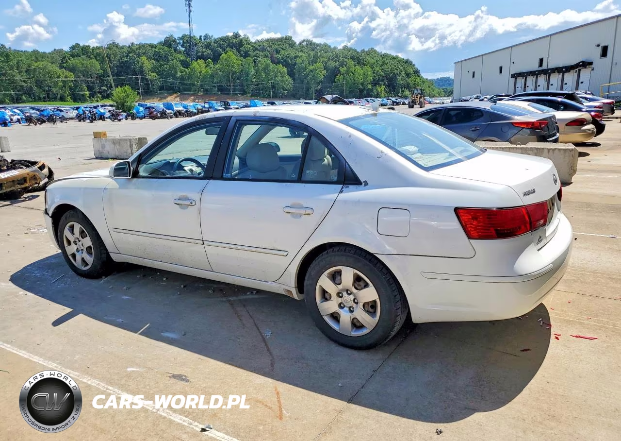 2010 Hyundai Sonata Gls VIN:5NPET4AC1AH605081 - 2