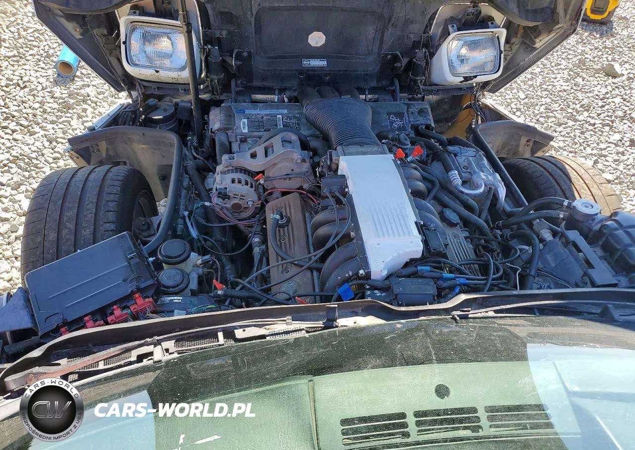 1990 Chevrolet Corvette VIN:1G1YY2382L5106295 - 11