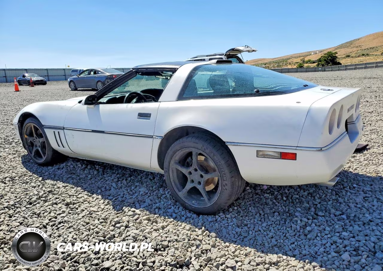 1990 Chevrolet Corvette VIN:1G1YY2382L5106295 - 2