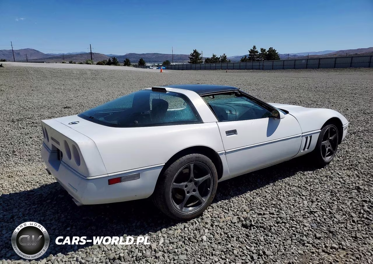 1990 Chevrolet Corvette VIN:1G1YY2382L5106295 - 3