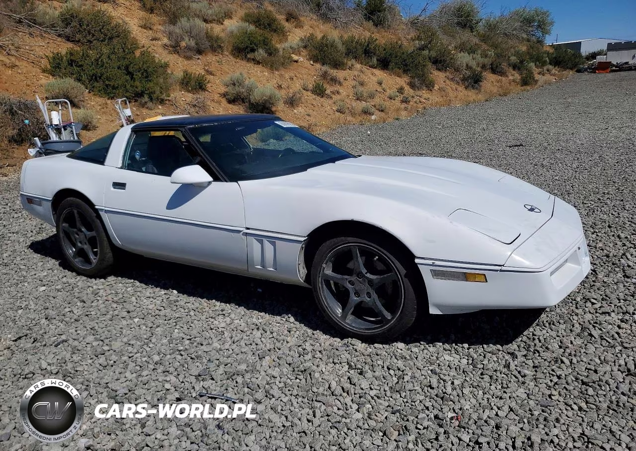 1990 Chevrolet Corvette VIN:1G1YY2382L5106295 - 4