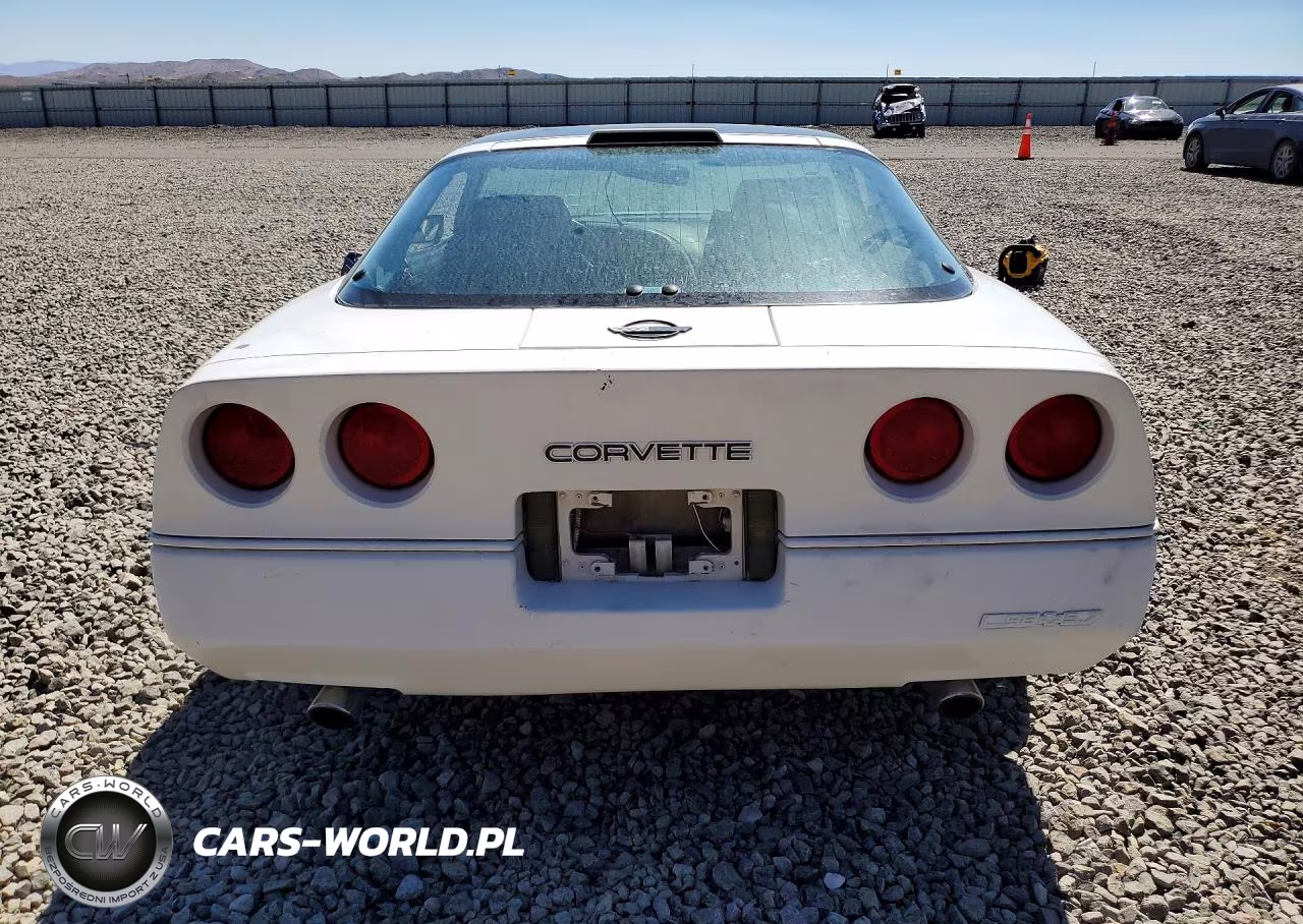 1990 Chevrolet Corvette VIN:1G1YY2382L5106295 - 6