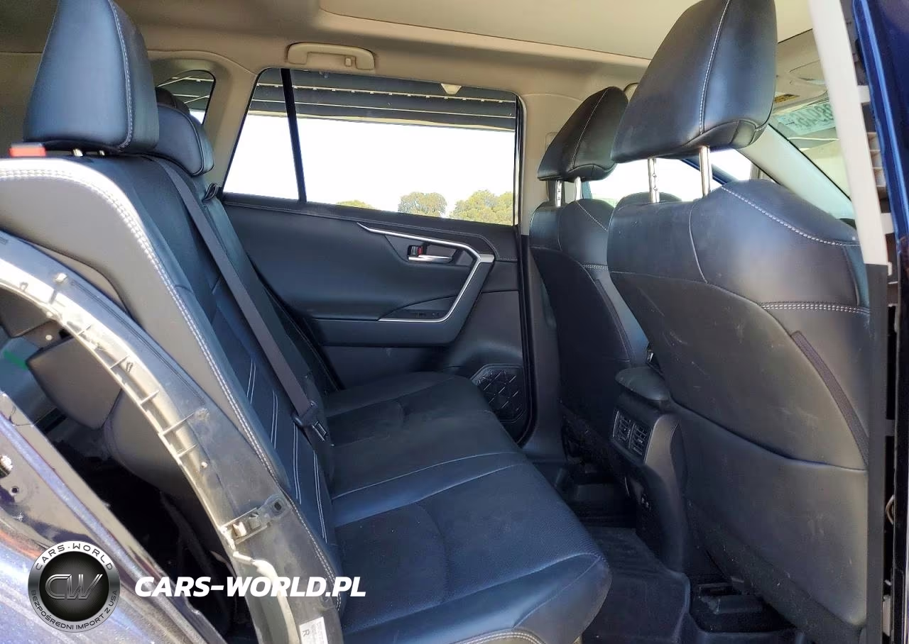 2019 Toyota Rav4 Limited VIN:JTMDWRFV0KD519665 - 10