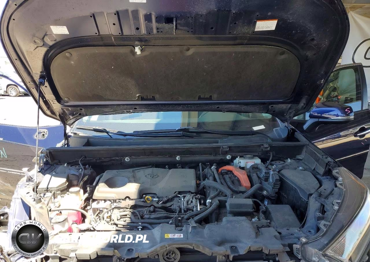 2019 Toyota Rav4 Limited VIN:JTMDWRFV0KD519665 - 11