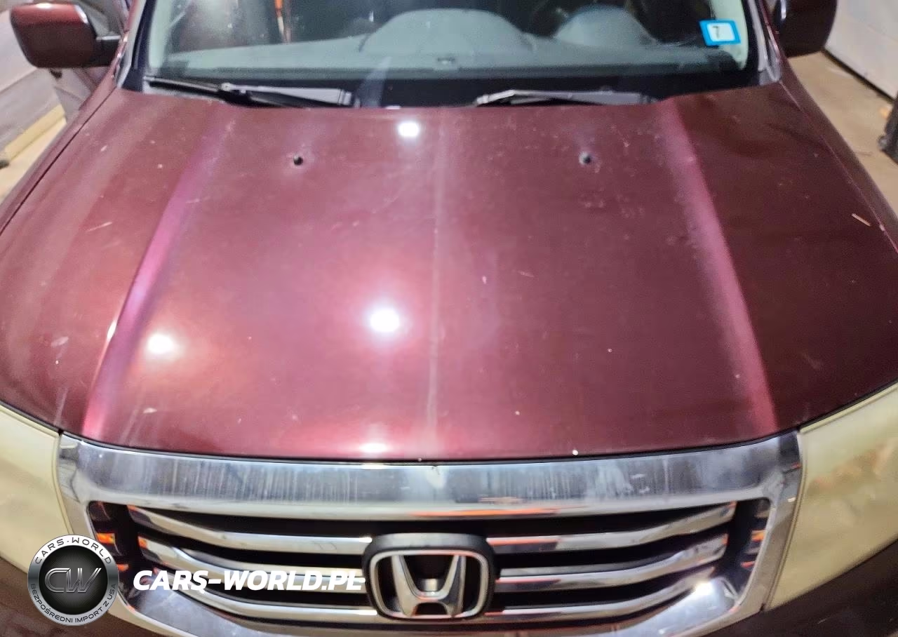 2014 Honda Pilot Exl VIN:5FNYF4H55EB022514 - 12