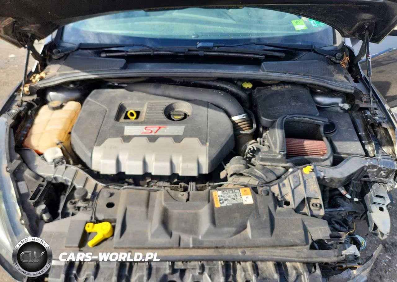 2016 Ford Focus St VIN:1FADP3L92GL356943 - 11