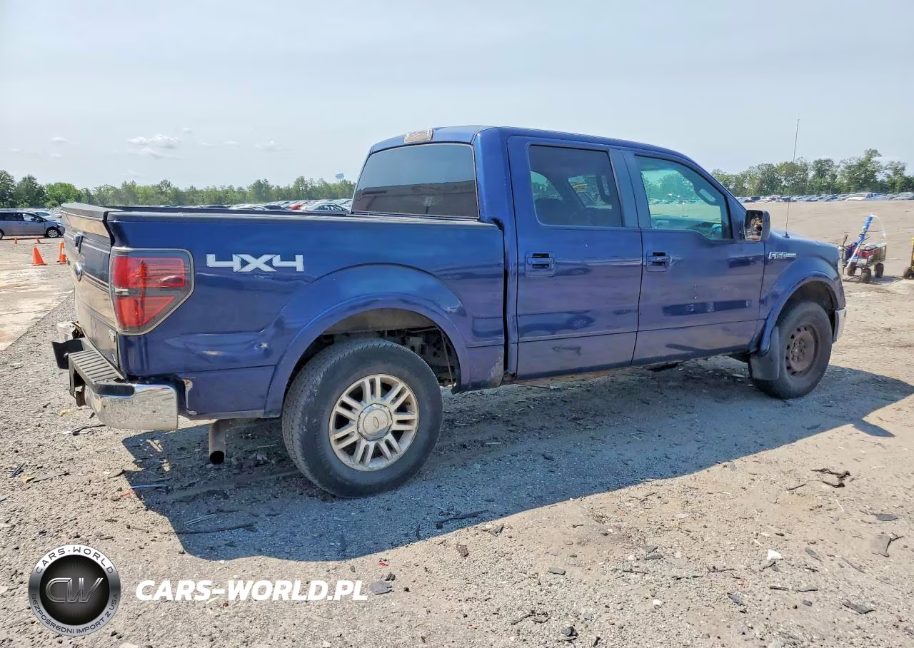 2010 Ford F150 Supercrew VIN:1FTFW1EVXAFA66783 - 3