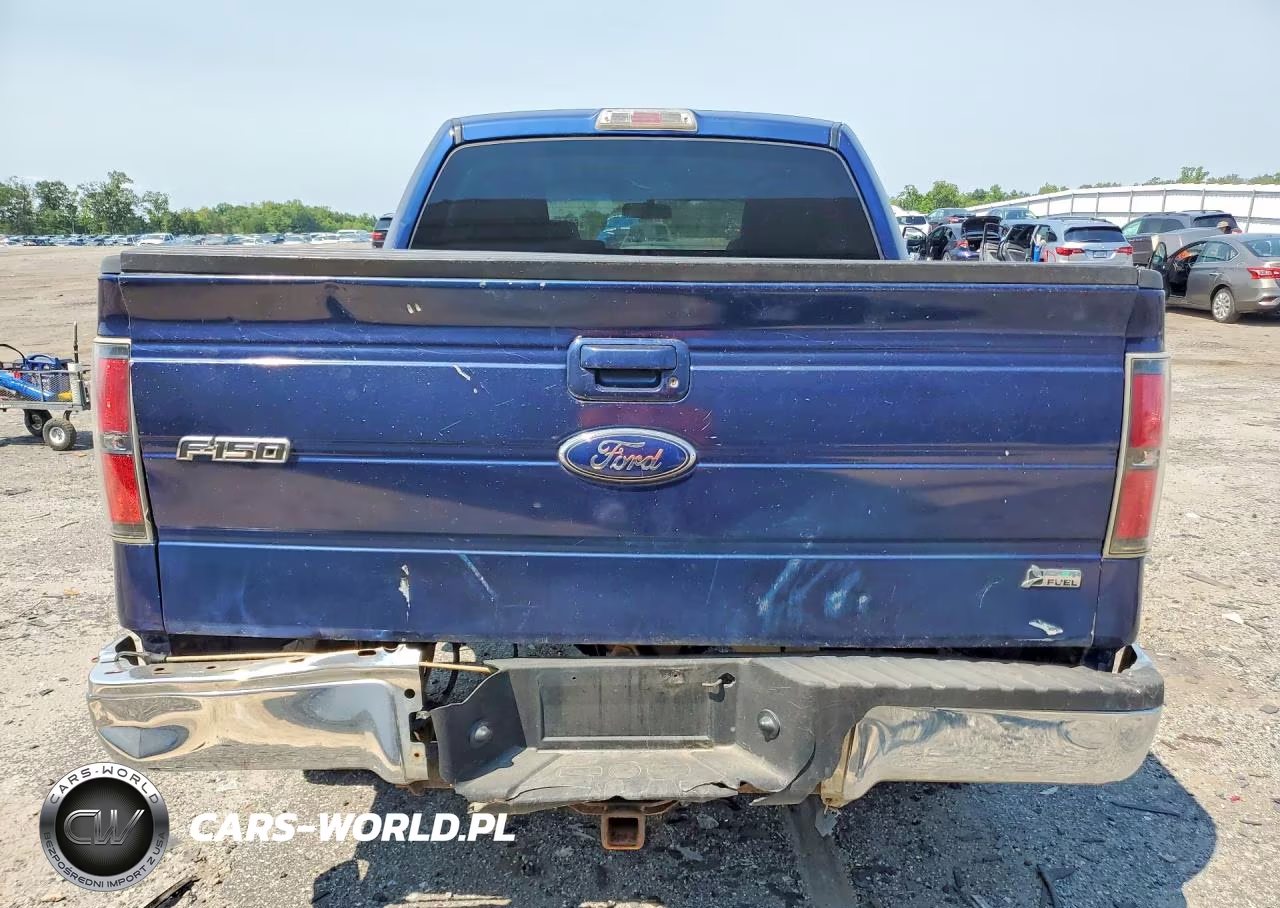 2010 Ford F150 Supercrew VIN:1FTFW1EVXAFA66783 - 6