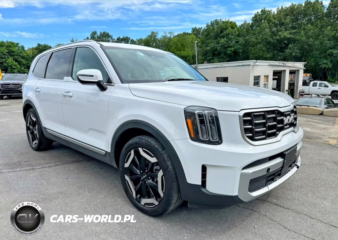 2025 Kia Telluride S VIN:5XYP64GC4SG639970 - 4