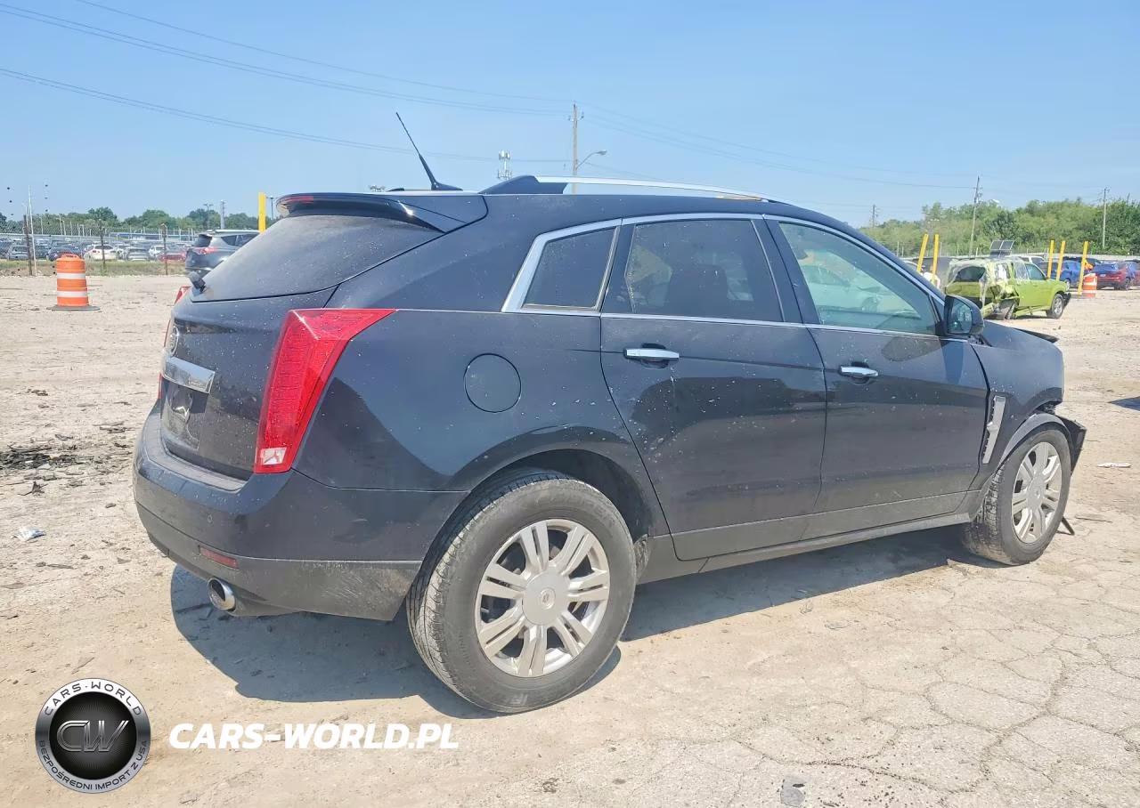 2010 Cadillac Srx Luxury Collection VIN:3GYFNAEY3AS556257 - 3