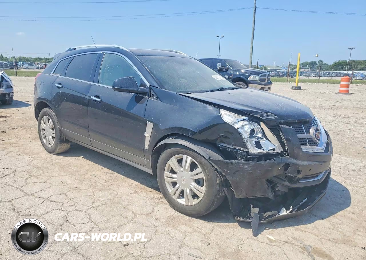 2010 Cadillac Srx Luxury Collection VIN:3GYFNAEY3AS556257 - 4