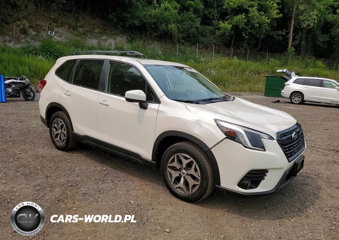 2022 Subaru Forester Premium VIN:JF2SKAEC1NH519970 - 4