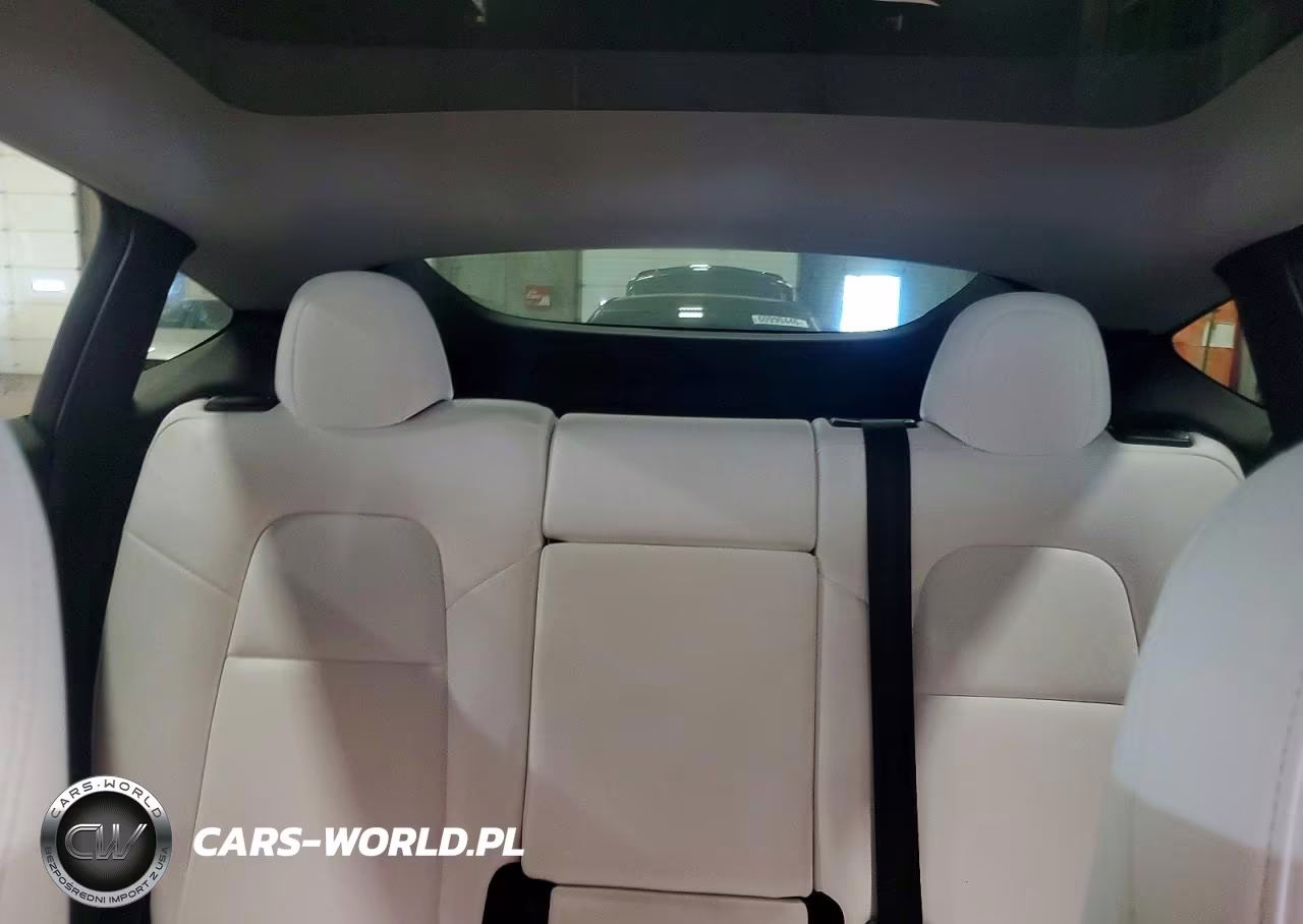 2024 Tesla Model Y VIN:7SAYGDEE2RA249022 - 10
