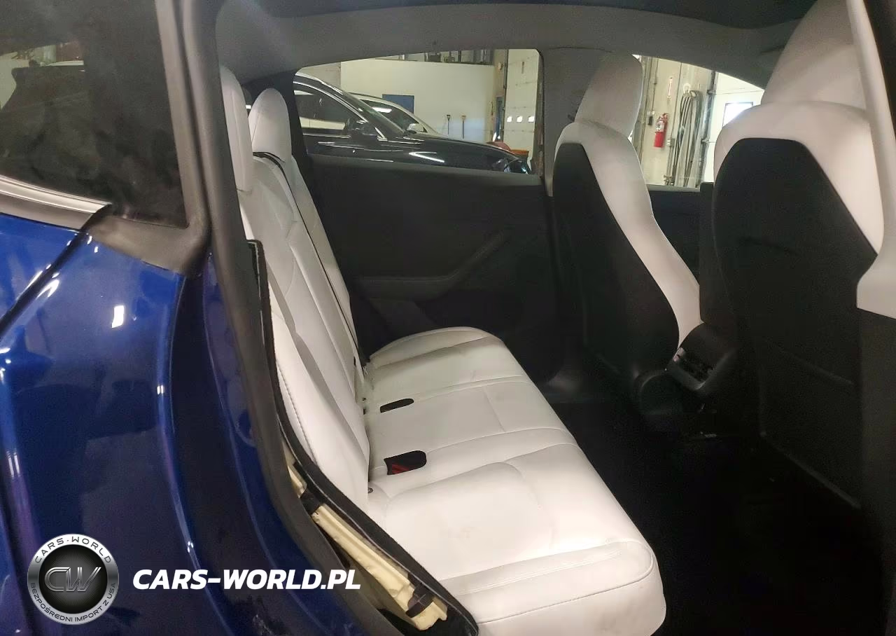 2024 Tesla Model Y VIN:7SAYGDEE2RA249022 - 11