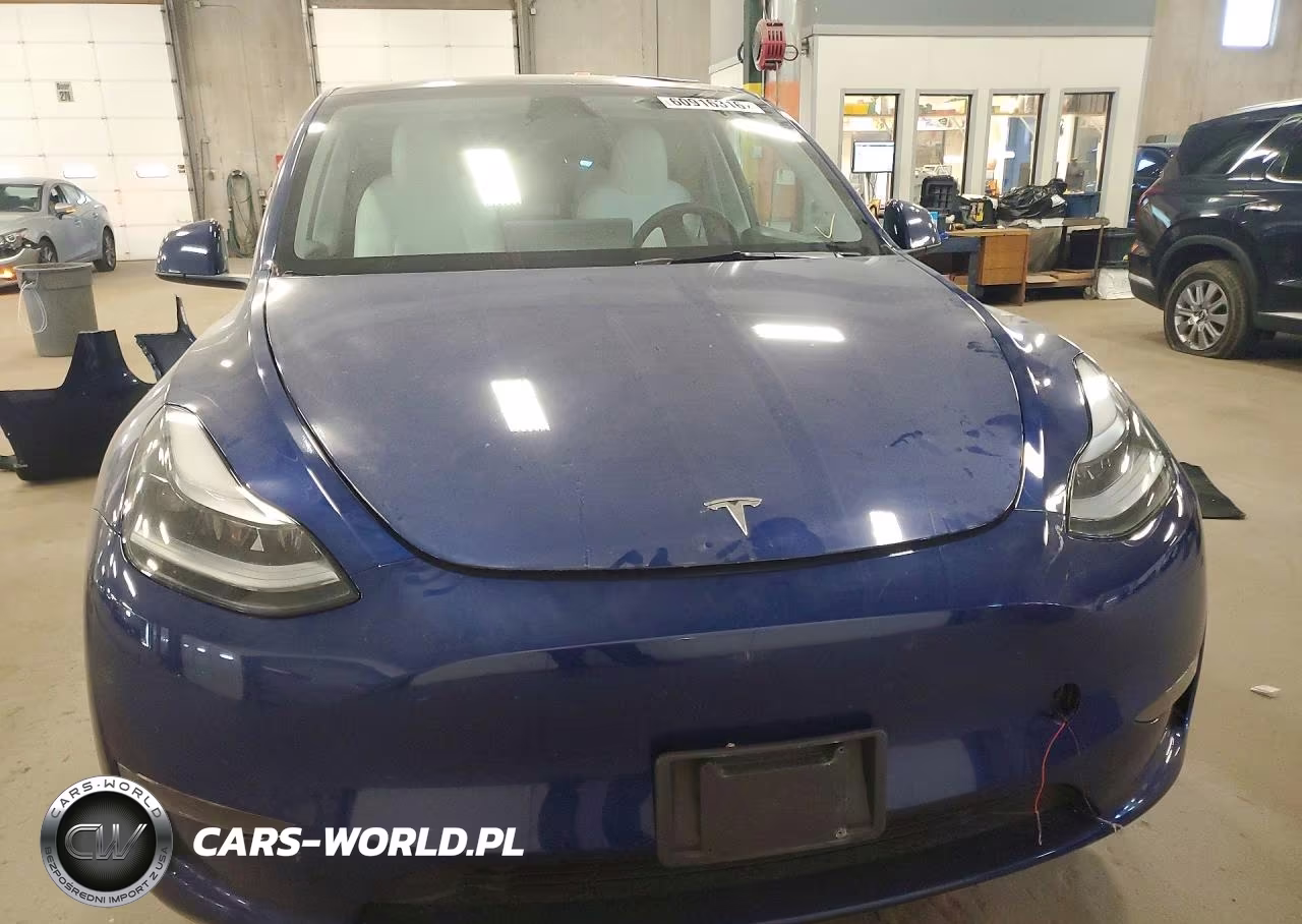 2024 Tesla Model Y VIN:7SAYGDEE2RA249022 - 5