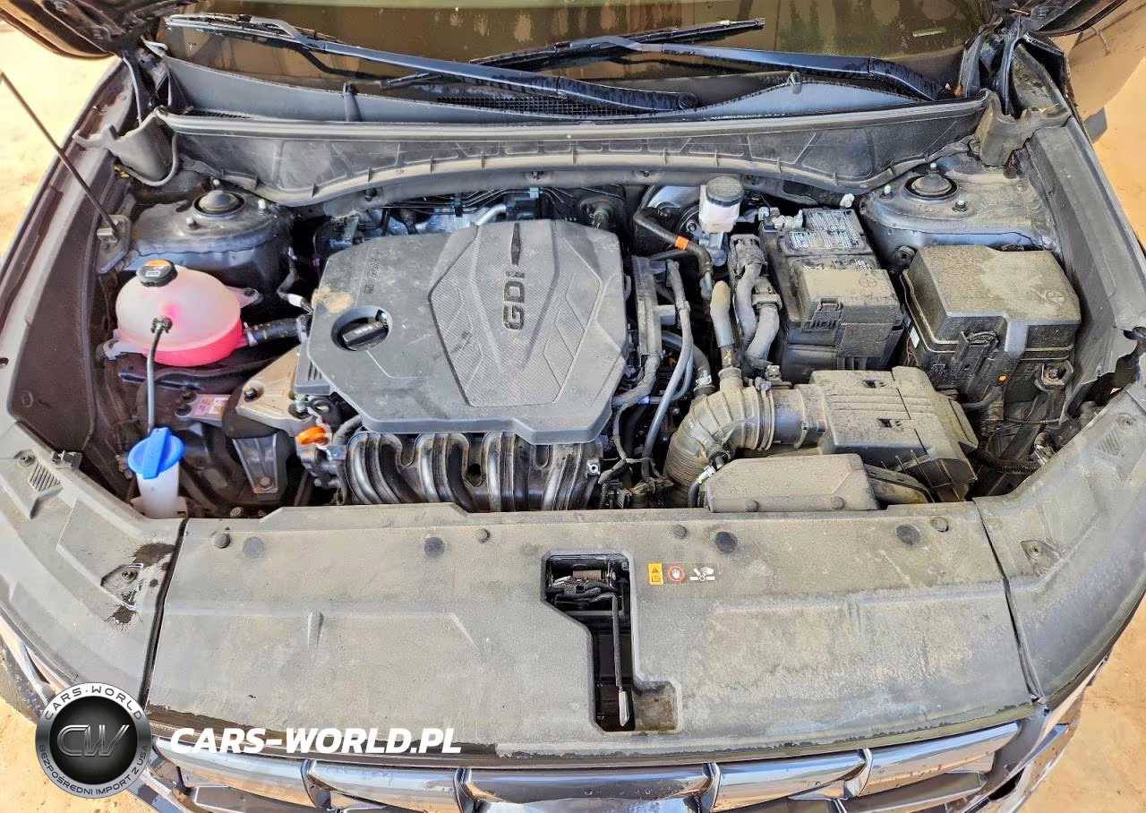 2024 Hyundai Tucson Sel VIN:5NMJF3DE2RH297926 - 12