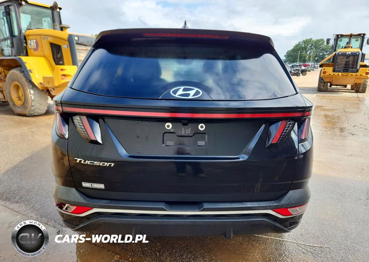 2024 Hyundai Tucson Sel VIN:5NMJF3DE2RH297926 - 6