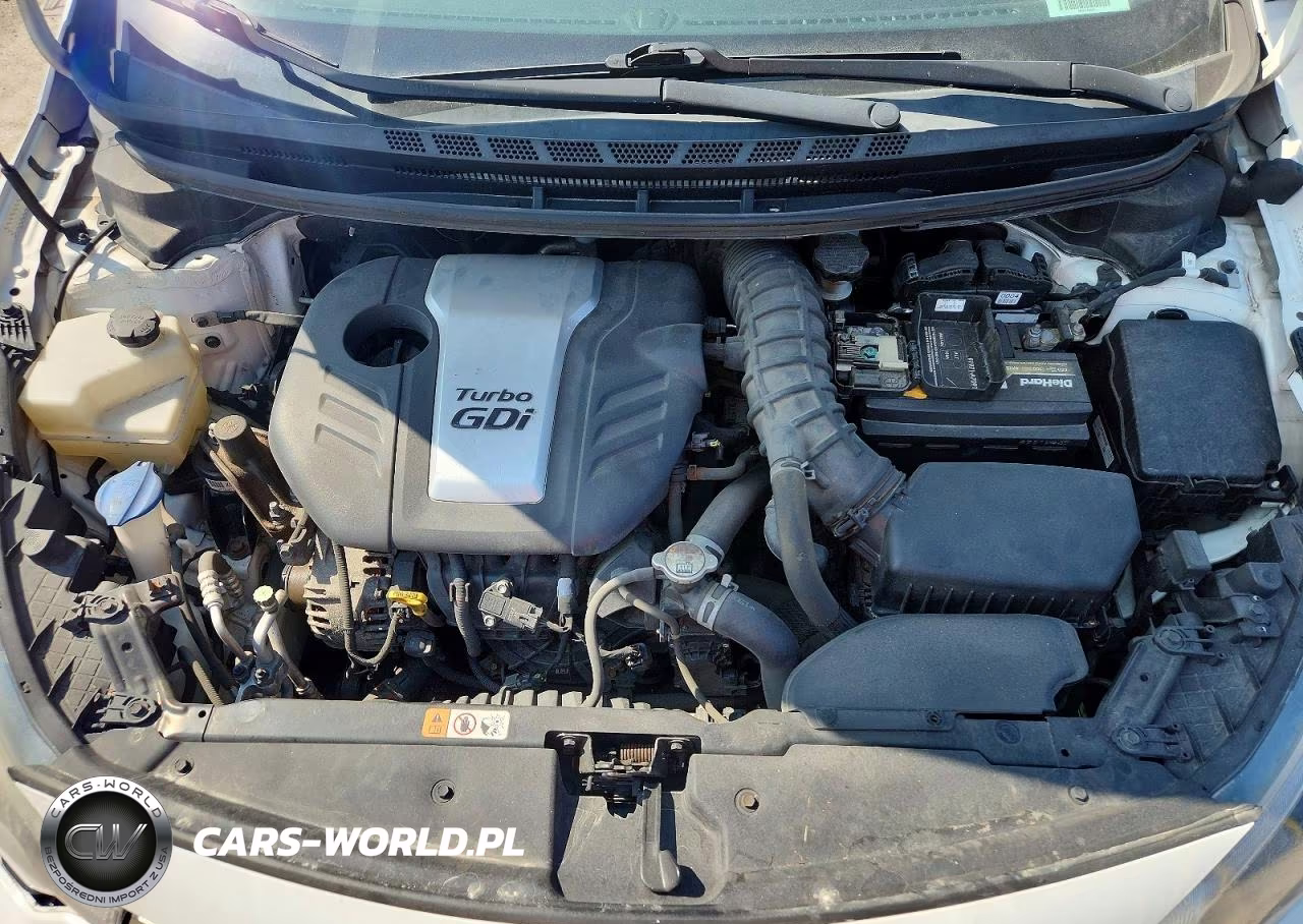 2016 Kia Forte Sx VIN:KNAFZ5A35G5498745 - 11