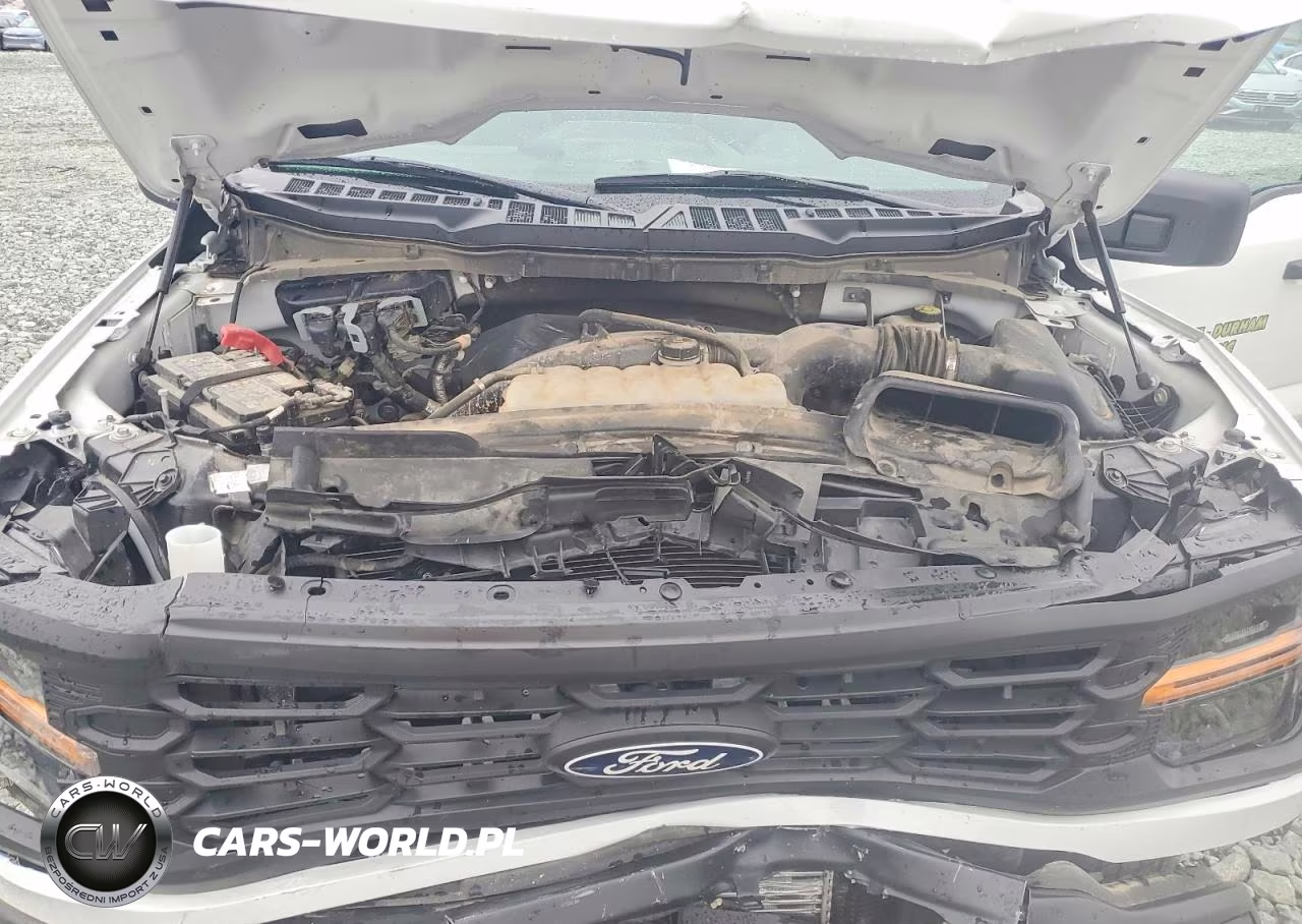 2024 Ford F150 Xl VIN:1FTMF1KP4RKF73940 - 11