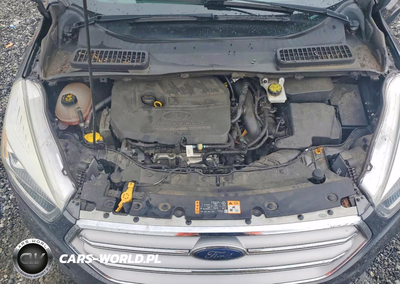 2017 Ford Escape Se VIN:1FMCU0GD1HUE20229 - 12