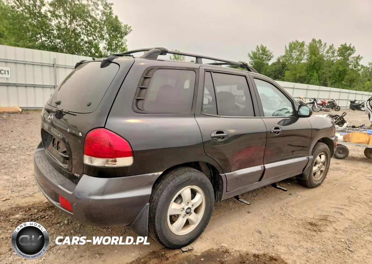 2005 Hyundai Santa Fe Gls VIN:KM8SC73D25U987803 - 3