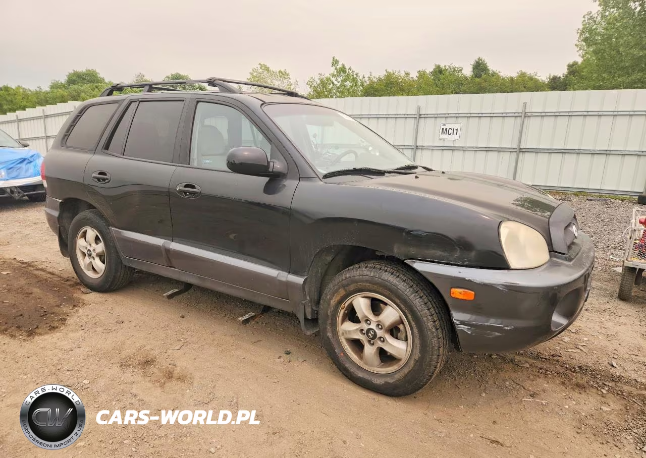 2005 Hyundai Santa Fe Gls VIN:KM8SC73D25U987803 - 4