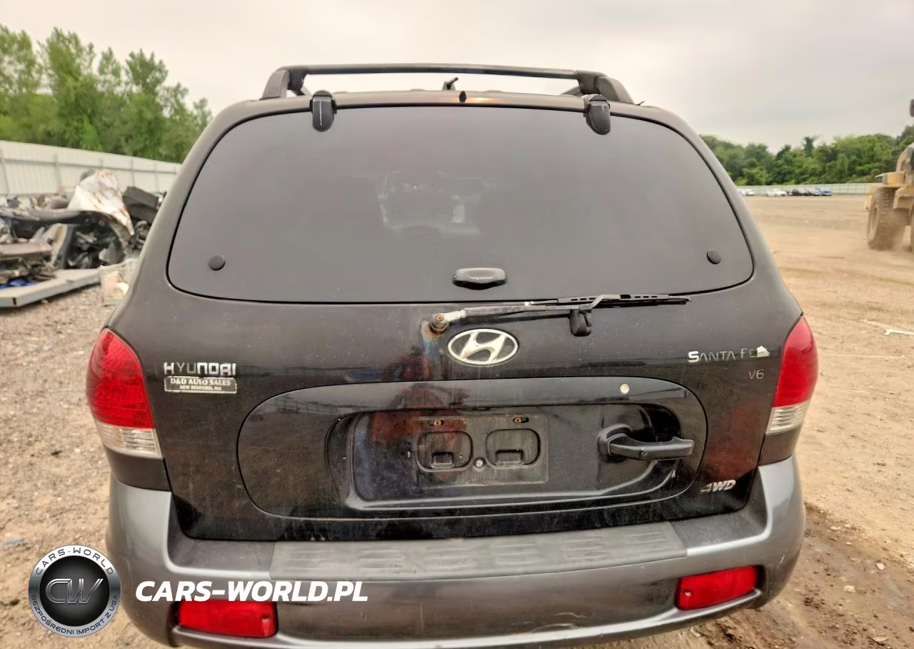 2005 Hyundai Santa Fe Gls VIN:KM8SC73D25U987803 - 6