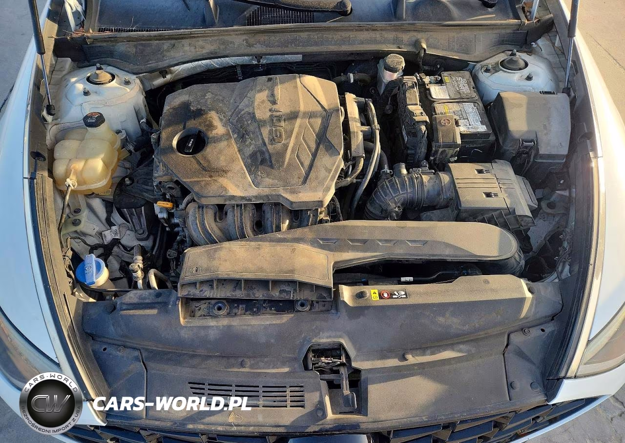 2020 Hyundai Sonata Sel VIN:5NPEL4JA5LH058172 - 11