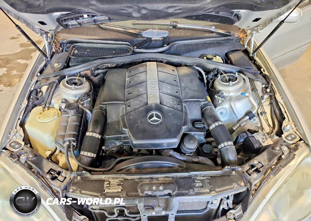 2002 Mercedes-Benz 400 Class VIN:WDBNG70J92A251341 - 11