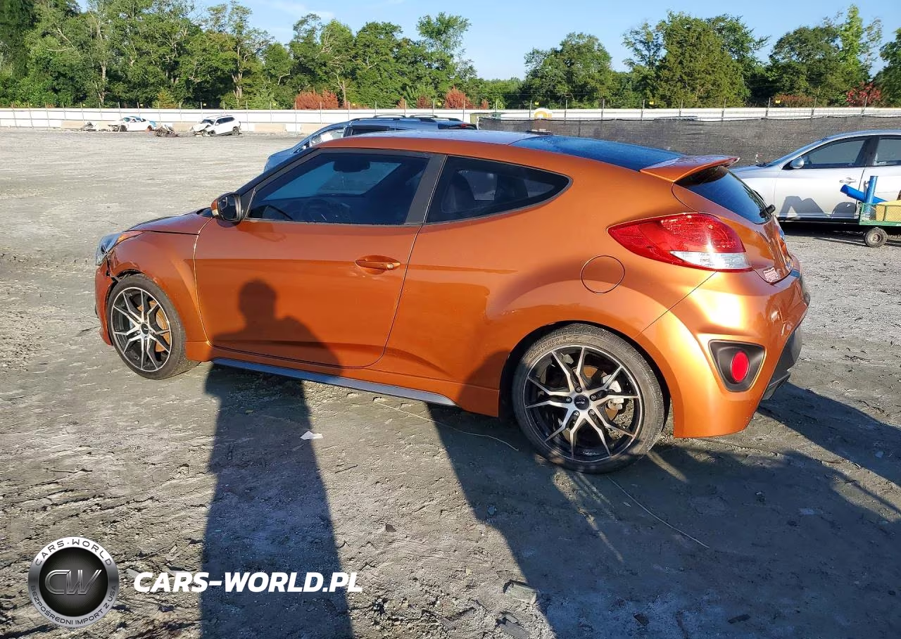 2016 Hyundai Veloster Turbo VIN:KMHTC6AE6GU289630 - 2