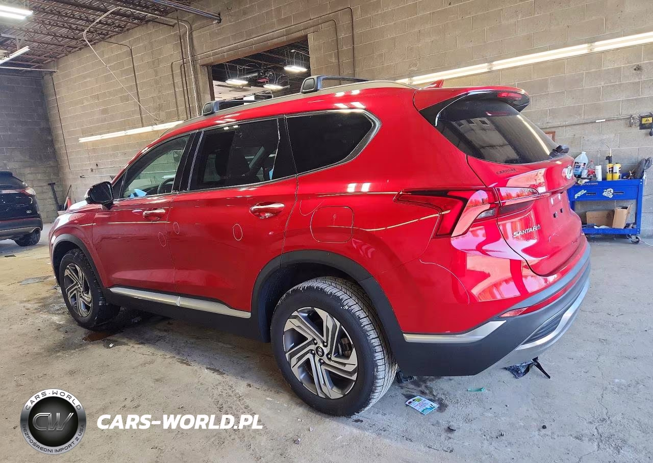 2023 Hyundai Santa Fe Sel Premium VIN:5NMS3DAJ6PH593940 - 2