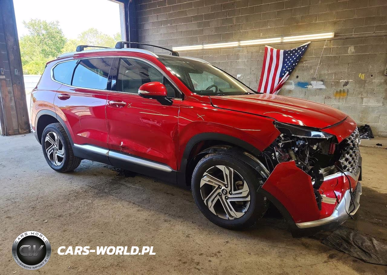 2023 Hyundai Santa Fe Sel Premium VIN:5NMS3DAJ6PH593940 - 4