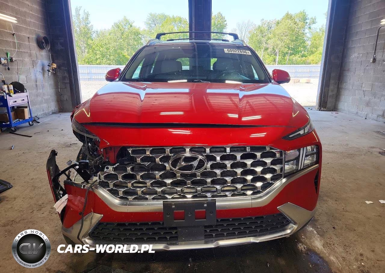 2023 Hyundai Santa Fe Sel Premium VIN:5NMS3DAJ6PH593940 - 5