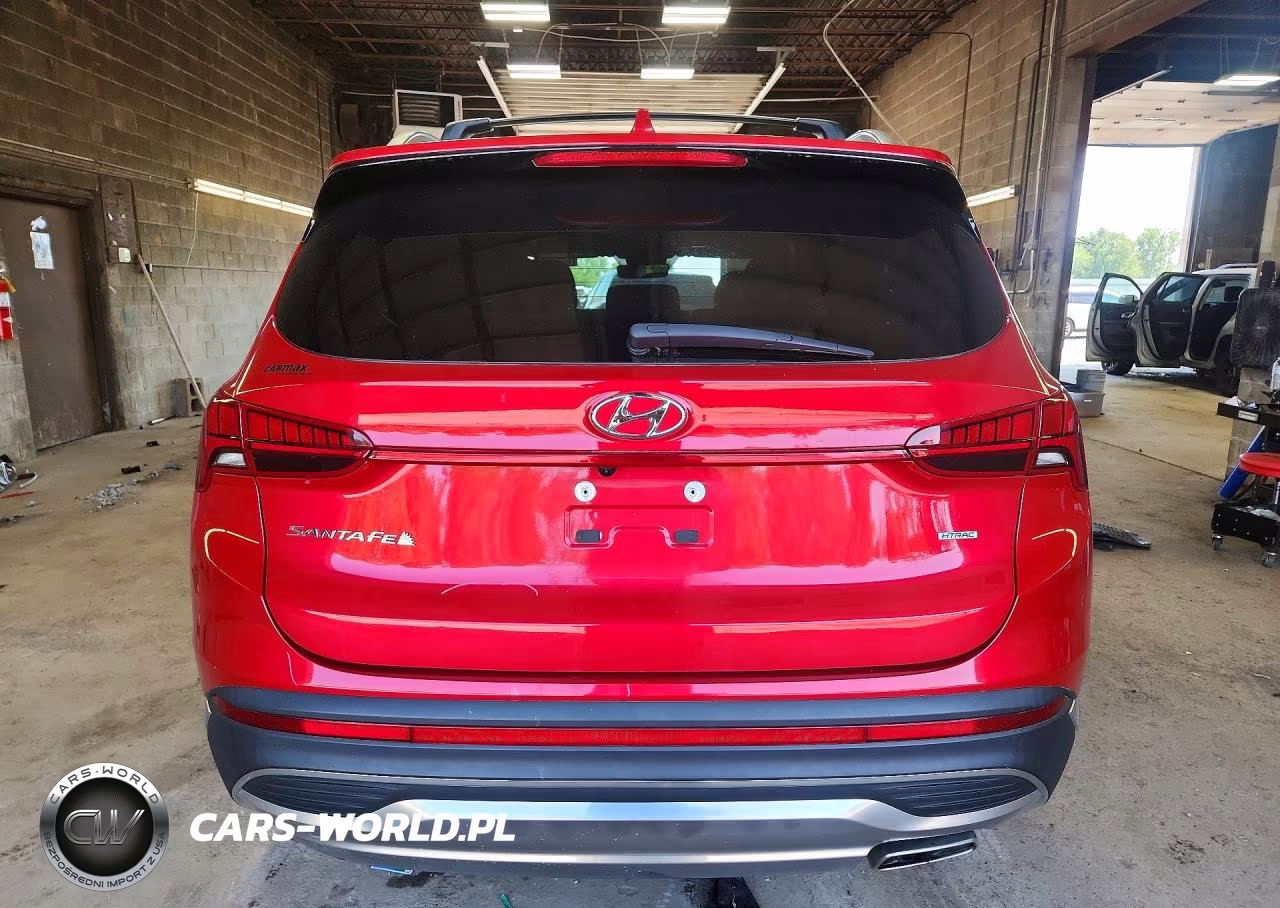 2023 Hyundai Santa Fe Sel Premium VIN:5NMS3DAJ6PH593940 - 6